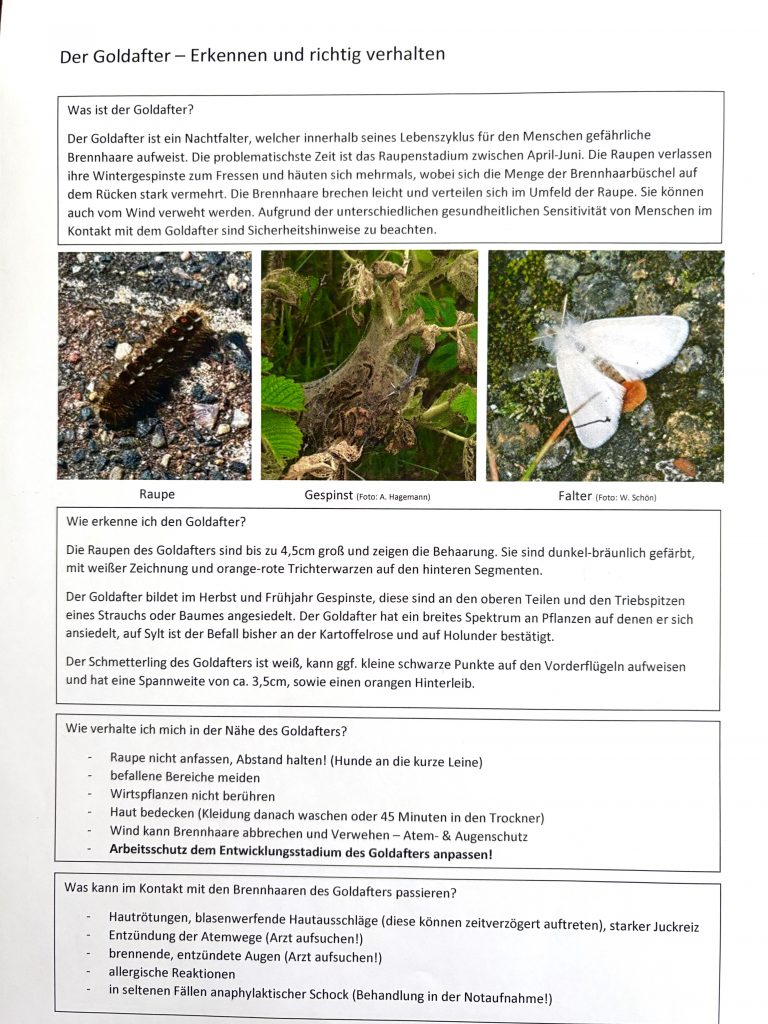Wichtige Information zum Thema Goldafter!