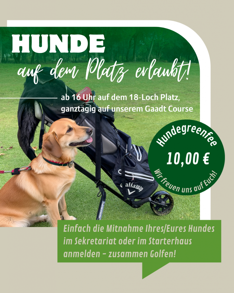 Hunde auf unserem Platz